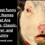 102 Best funny Boat Names That Are Unique, Classic, Clever, and Funny
