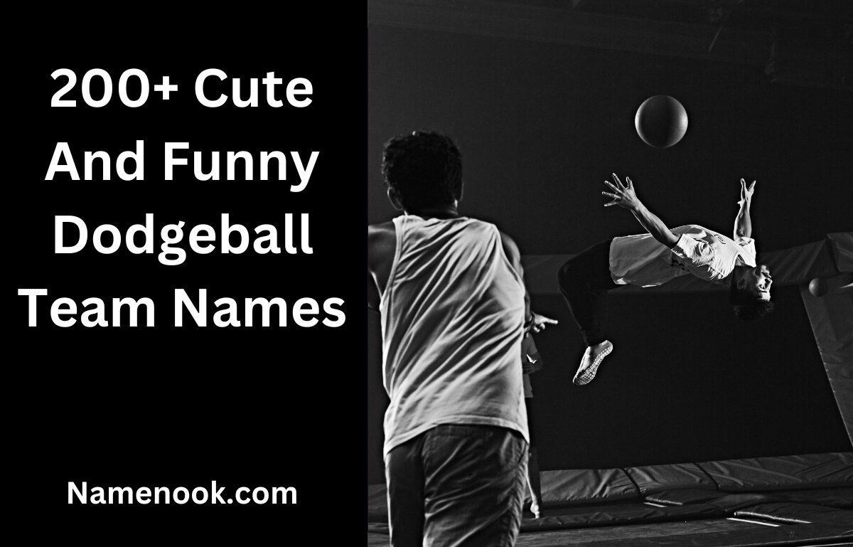 200+ Cute And Funny Dodgeball Team Names