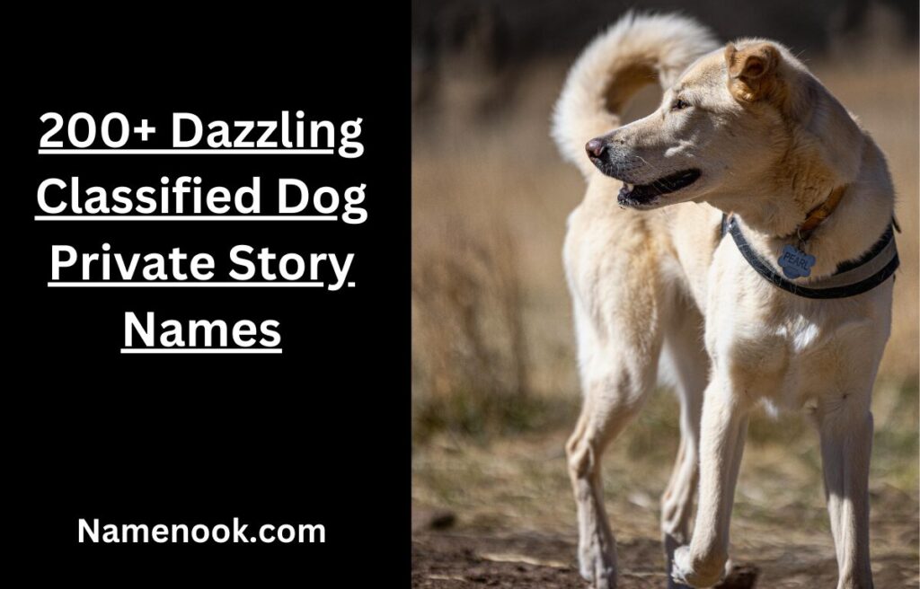200+ Dazzling Classified Dog Private Story Names