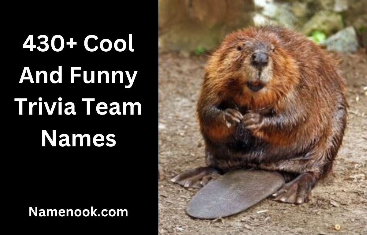 430+ Cool And Funny Trivia Team Names