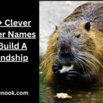 490+ Clever Beaver Names To Build A Friendship