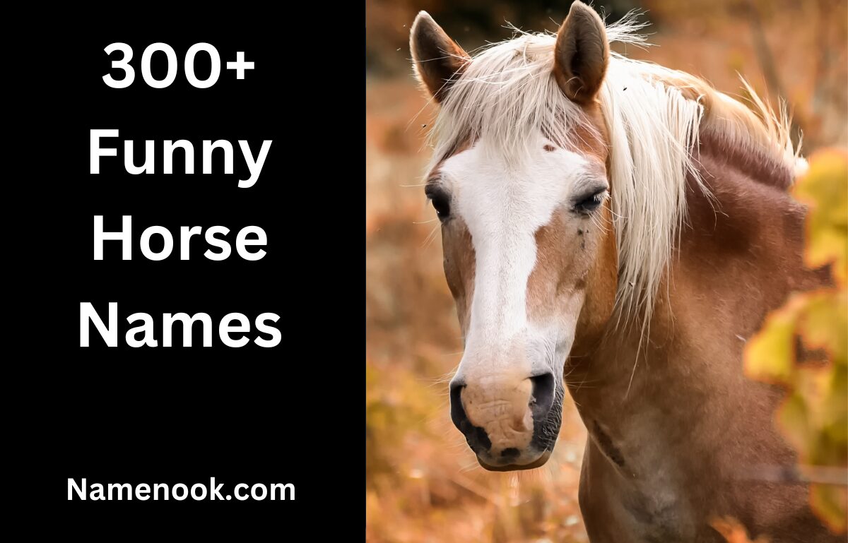 300+ Funny Horse Names