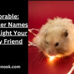 Adorable: Hamster Names To Delight Your Furry Friend