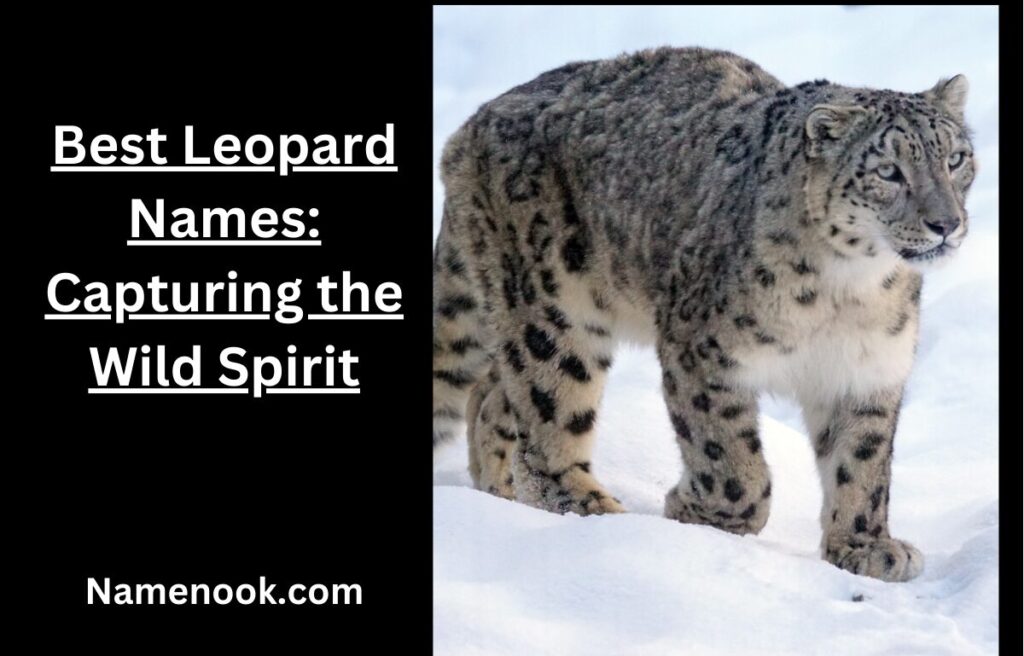 Best Leopard Names: Capturing the Wild Spirit