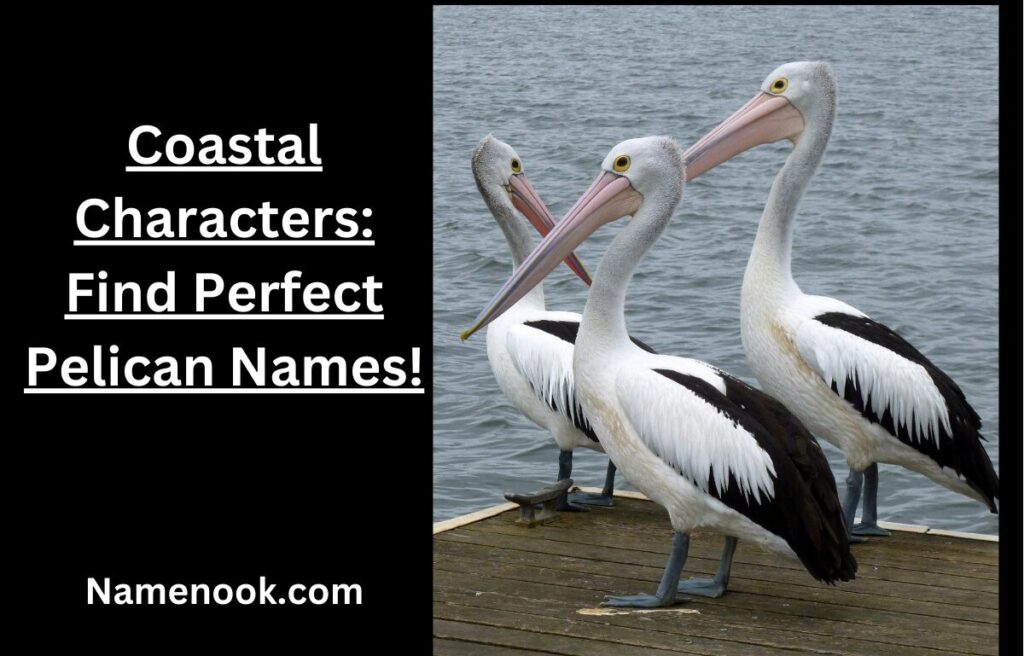 Coastal Characters: Find Perfect Pelican Names!