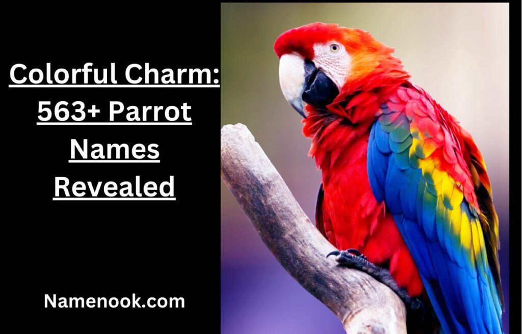 Colorful Charm: 563+ Parrot Names Revealed