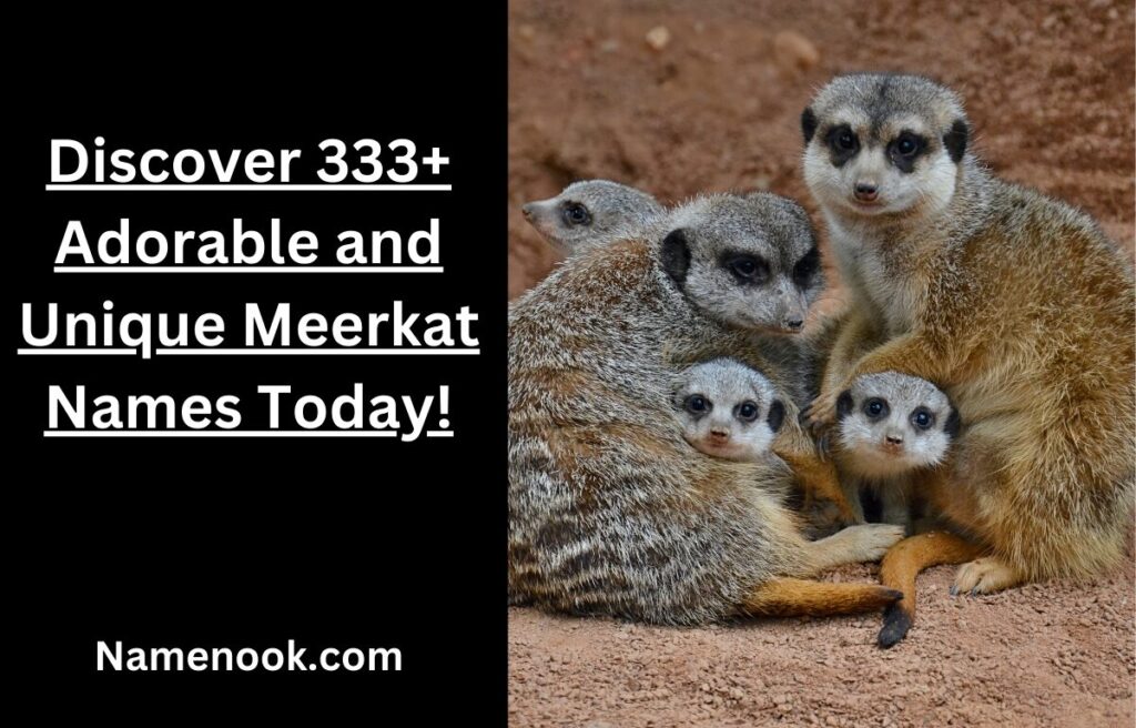 Discover 333+ Adorable and Unique Meerkat Names Today!