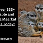 Discover 333+ Adorable and Unique Meerkat Names Today!