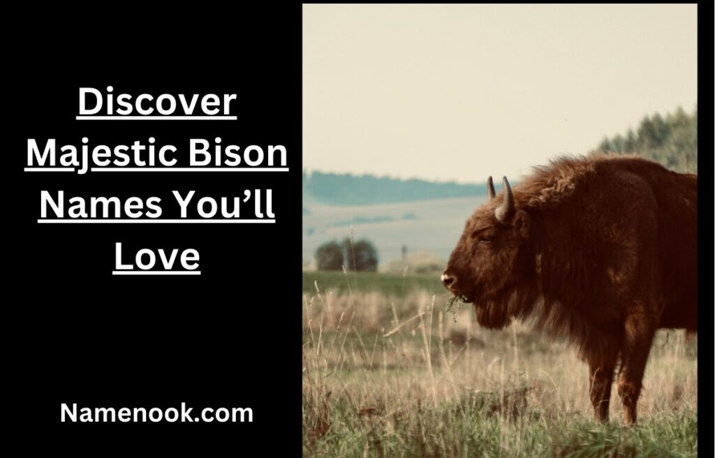 Discover Majestic Bison Names You’ll Love