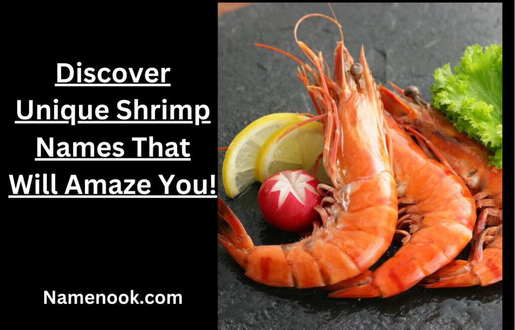 Discover Unique Shrimp Names That Will Amaze You!