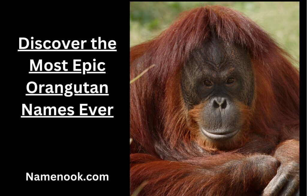 Discover the Most Epic Orangutan Names Ever