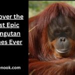 Discover the Most Epic Orangutan Names Ever