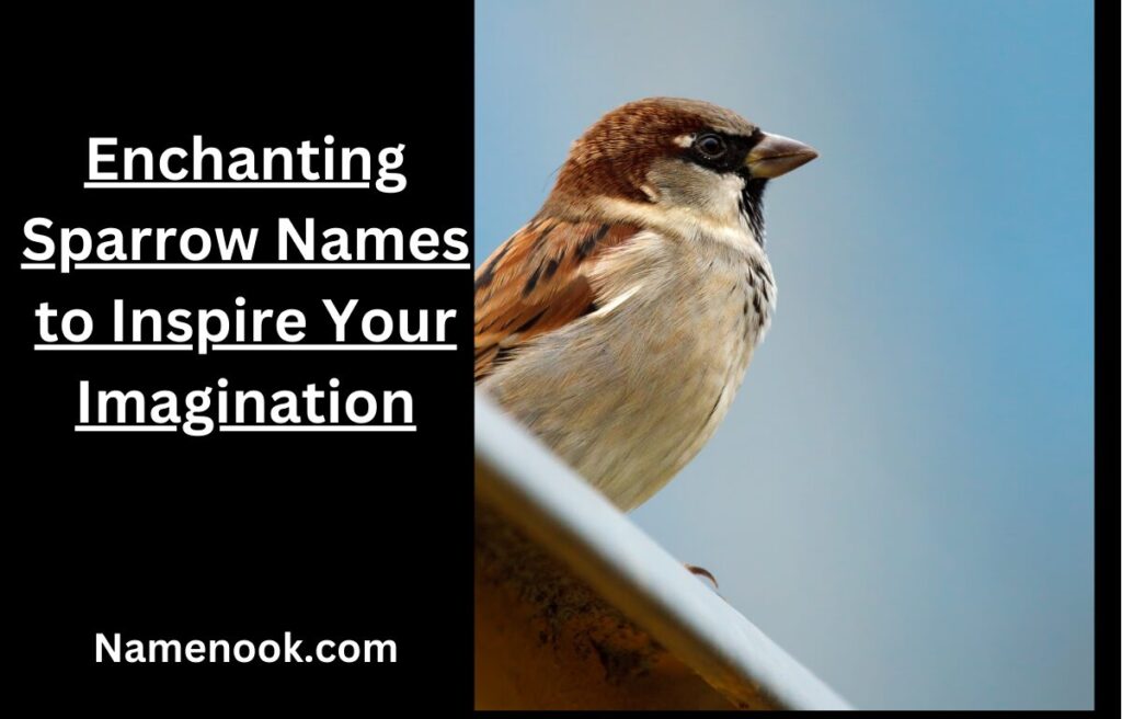 Enchanting Sparrow Names to Inspire Your Imagination
