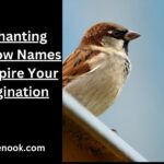 Enchanting Sparrow Names to Inspire Your Imagination