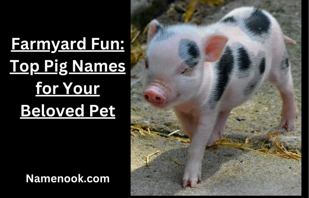 Farmyard Fun: Top Pig Names for Your Beloved Pet