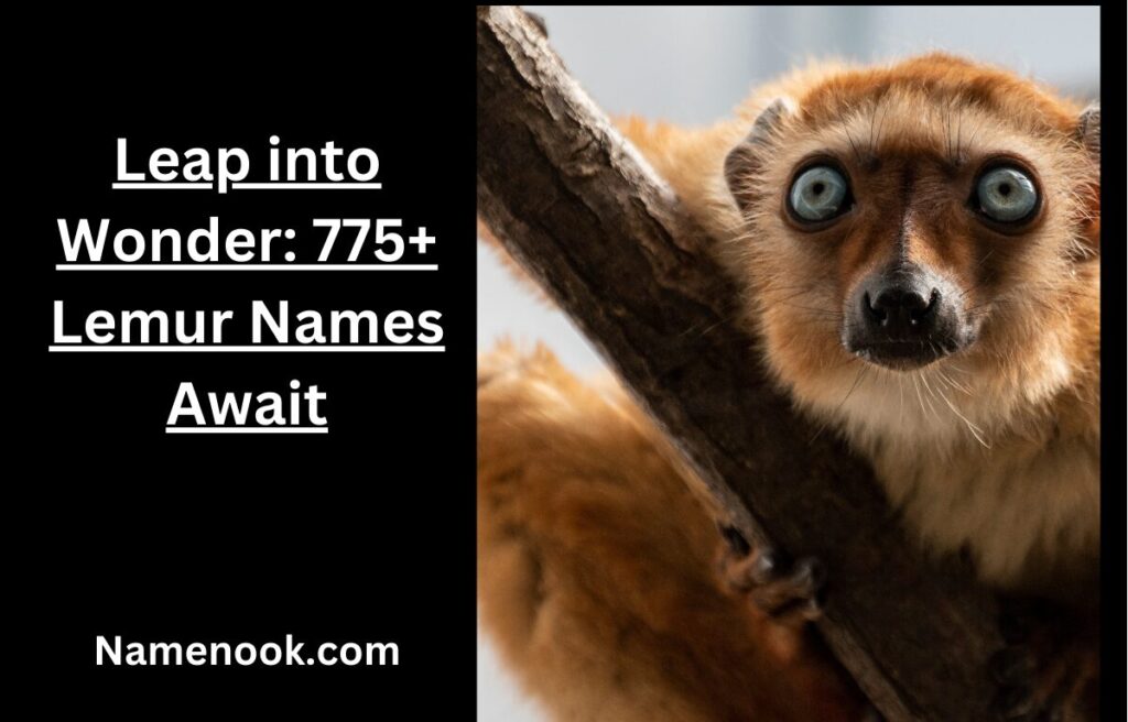 Leap into Wonder: 775+ Lemur Names Await
