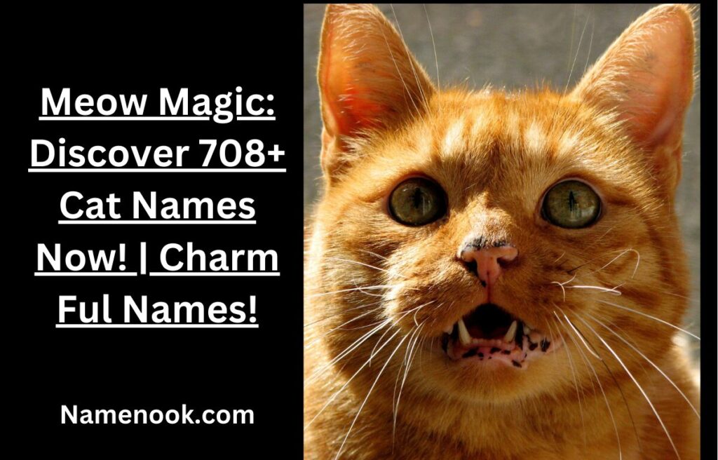 Meow Magic: Discover 708+ Cat Names Now! | Charm Ful Names!
