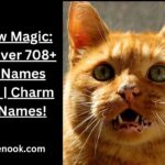 Meow Magic: Discover 708+ Cat Names Now! | Charm Ful Names!