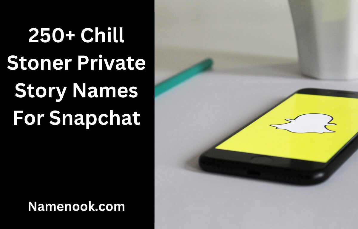 250+ Chill Stoner Private Story Names For Snapchat