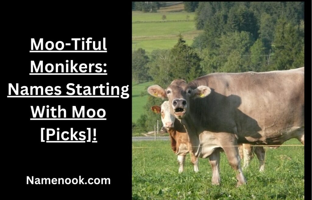 Top 5 Best Moo-Tiful Monikers: Names Starting With Moo [Picks ...