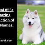Reveal 855+ Amazing Collection of Dog Names!