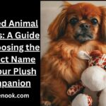 Stuffed Animal Names: A Guide to Choosing the Perfect Name for Your Plush Companion