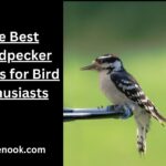 The Best Woodpecker Names for Bird Enthusiasts