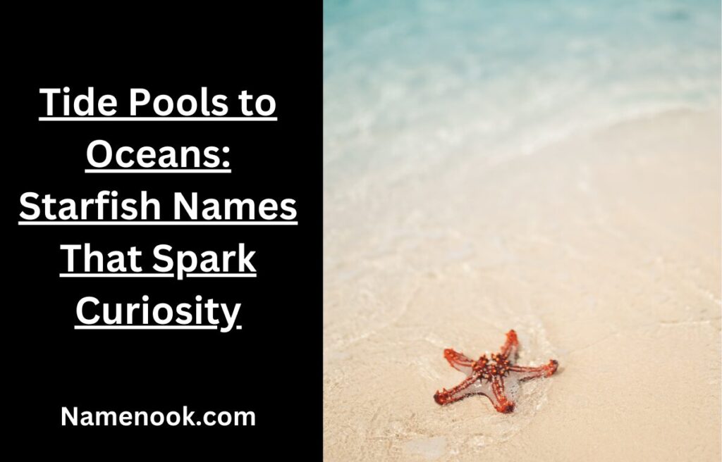 Tide Pools to Oceans: Starfish Names That Spark Curiosity