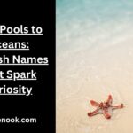 Tide Pools to Oceans: Starfish Names That Spark Curiosity
