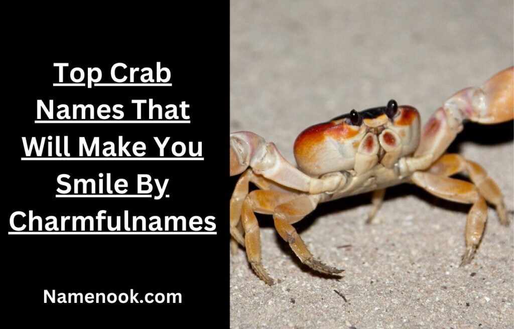 Top Crab Names That Will Make You Smile By Charmfulnames