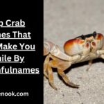Top Crab Names That Will Make You Smile By Charmfulnames