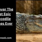 Uncover The Most Epic Crocodile Names Ever