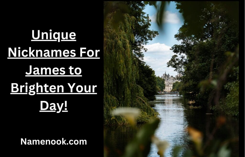 Unique Nicknames For James to Brighten Your Day!