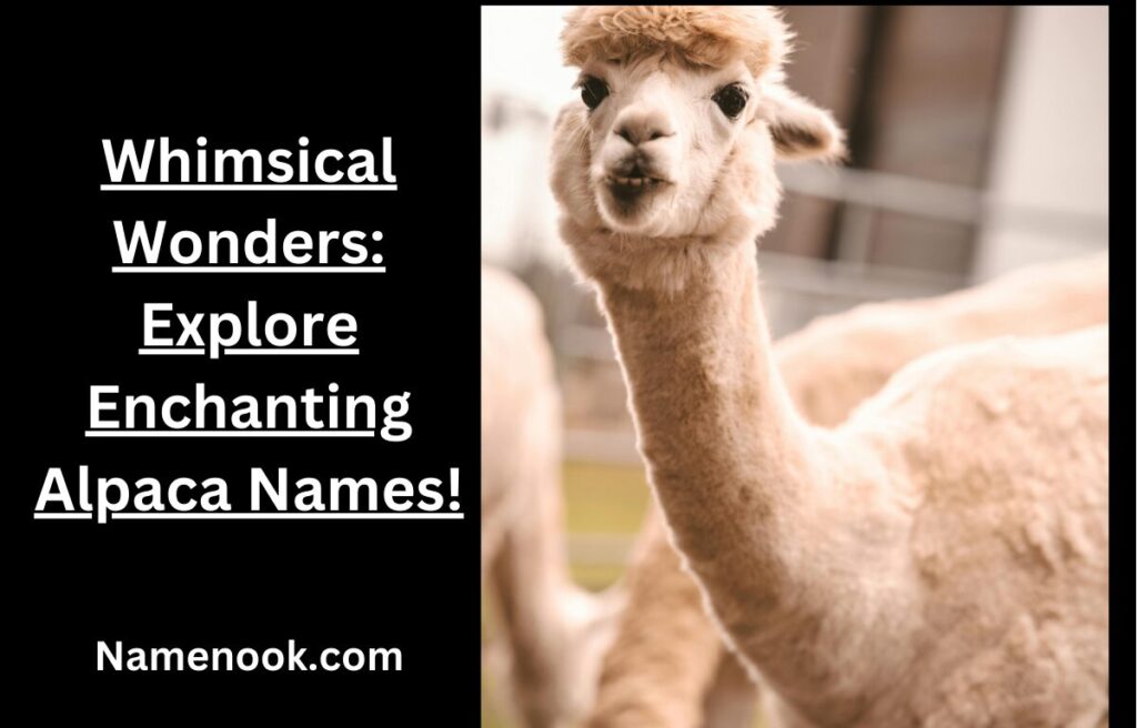 Whimsical Wonders: Explore Enchanting Alpaca Names!
