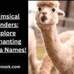 Whimsical Wonders: Explore Enchanting Alpaca Names!
