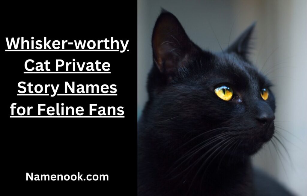 Whisker-worthy Cat Private Story Names for Feline Fans