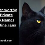 Whisker-worthy Cat Private Story Names for Feline Fans