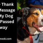 100+ Thank You Message for My Dog Who Passed Away