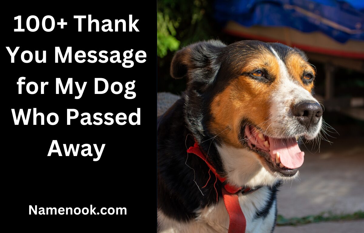 100+ Thank You Message for My Dog Who Passed Away