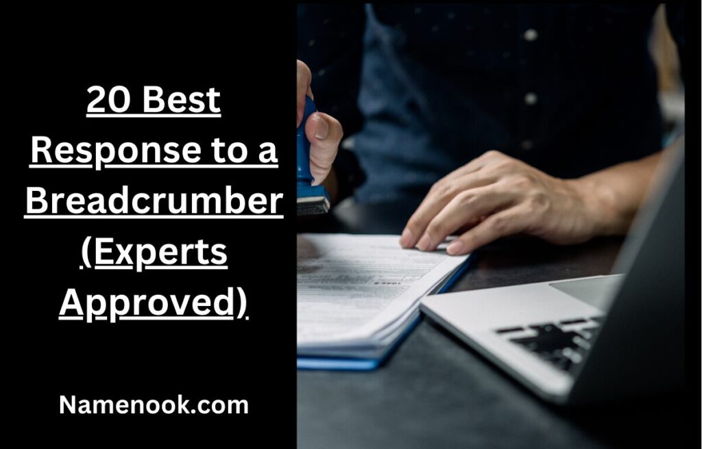 20 Best Response to a Breadcrumber (Experts Approved)