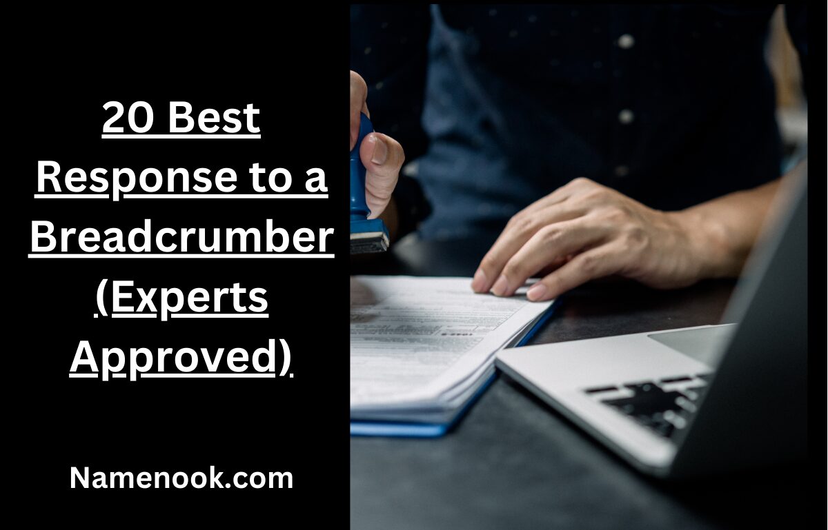 20 Best Response to a Breadcrumber (Experts Approved)