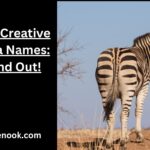 230+ Creative Zebra Names: Stand Out!
