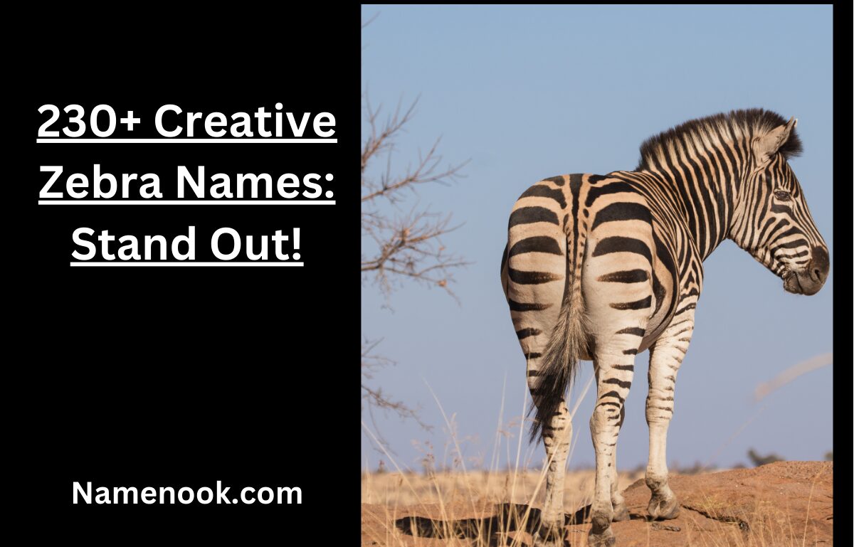 230+ Creative Zebra Names: Stand Out!