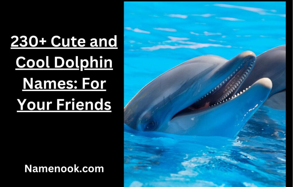 230+ Cute and Cool Dolphin Names: For Your Friends