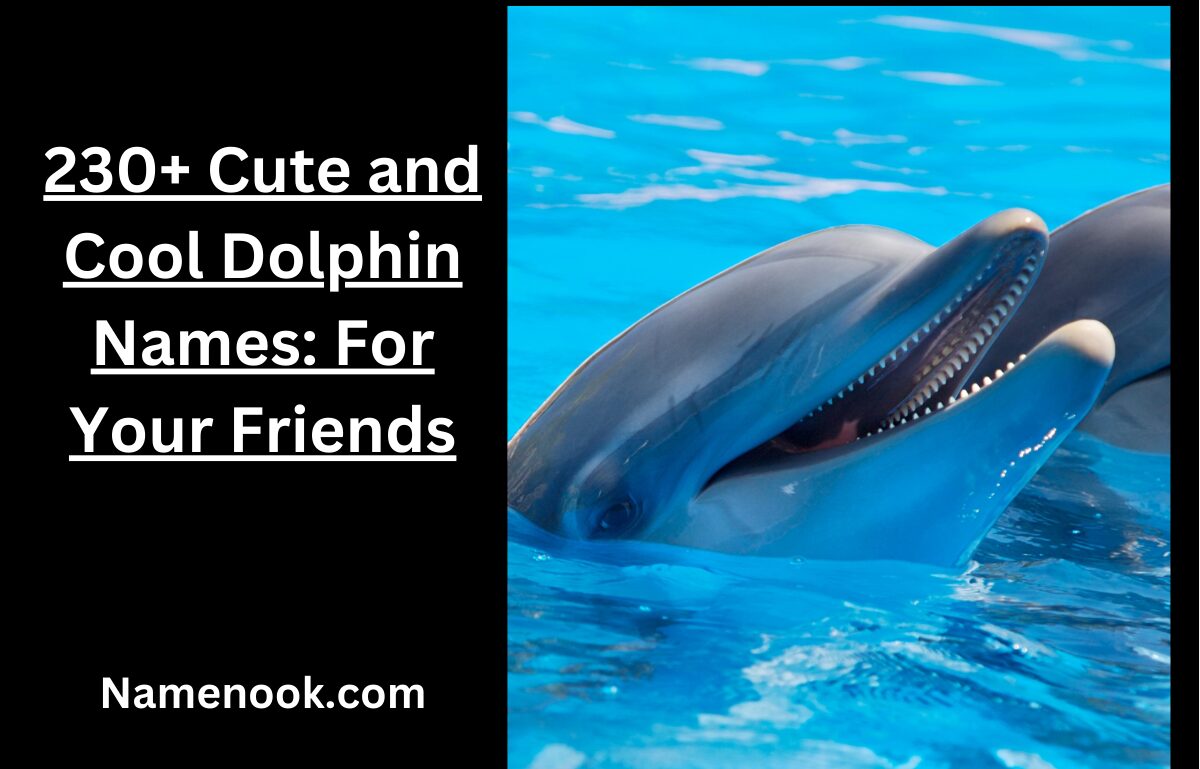 230+ Cute and Cool Dolphin Names: For Your Friends