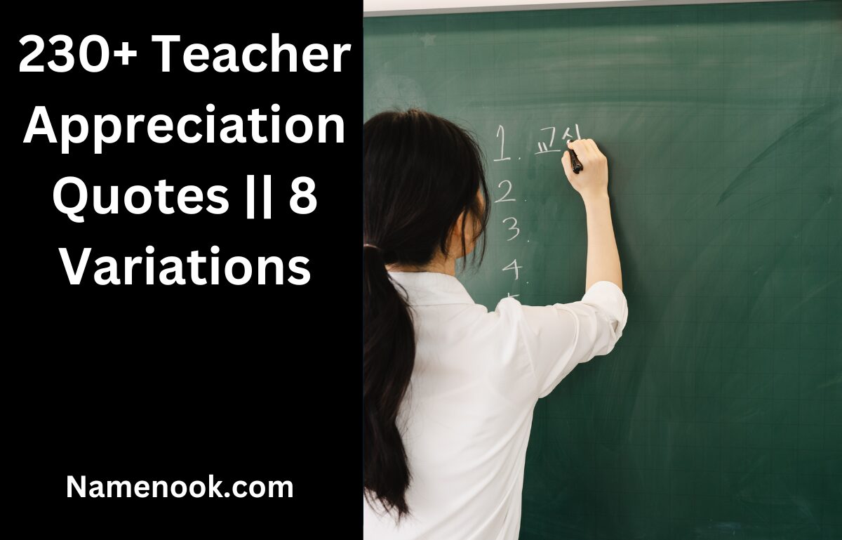 230+ Teacher Appreciation Quotes || 8 Variations