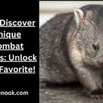 280+ Discover Unique Wombat Names: Unlock Your Favorite!