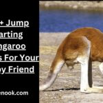 280+ Jump Starting Kangaroo Names For Your Skippy Friend