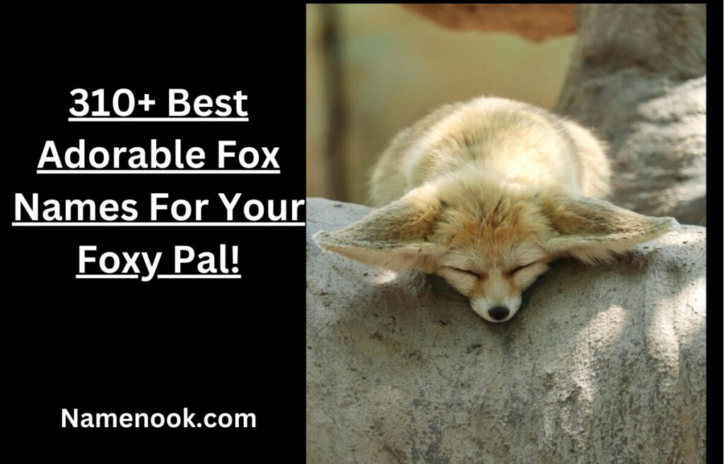 310+ Best Adorable Fox Names For Your Foxy Pal!