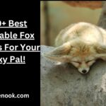 310+ Best Adorable Fox Names For Your Foxy Pal!